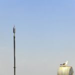 commercial lightning detection systems Newark, DE